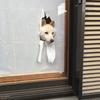 しょおー