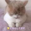 ♡心より