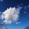 気まぐれ占い師 ゆう