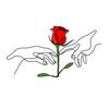 user