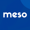 meso99