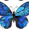 Morpho＊garden shop