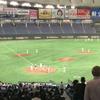 てる坊