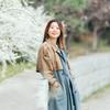 hanabi_coach