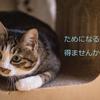 萩月　光夜