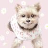 似顔絵 ODEKO