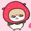 Tanuki0309