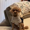 nktnyuka