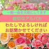 親切なアルパカ