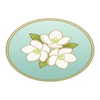 沢　茉莉花
