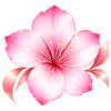 sakurashin8