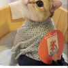 ねこ子☆