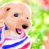 かれいらいす。漫画、イラスト