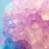 Kanae＊星よみコンサルタント