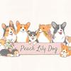 peach lily dog