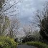 hayashi○