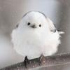 さあ ◡̈ ❤︎