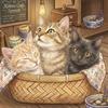 Kitten Cafe 3