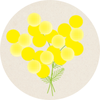 designmimosa