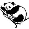 Panda Couture