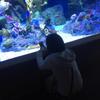 よつば428
