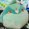 さくら　すい