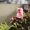 Yukichi28