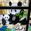 補習指導受験指導のひかり