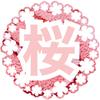 桜＊sakura＊