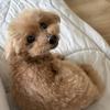 七瀬もぐたろー