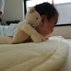 遥斗まま