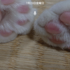 うずにゃん
