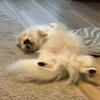 roy_0520