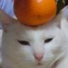 メリー77