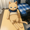 モロコミ