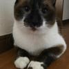 kousuke_21