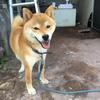 青年アドバイザー
