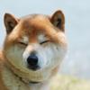 ベクトル