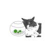 marimo_資格アドバイザー