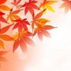 紅葉～もみじ～
