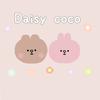 Daisy coco