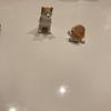 やまだです！！