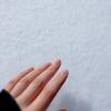 秋桜と向日葵