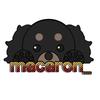 macaron__