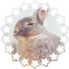 リク・大地陸斗