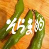 mamedamame