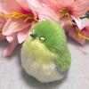 青樹めじろ