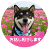 たけさんのことのは庵