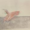 ふじふじ。