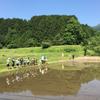 田舎に移住して5年。法人化して2年目の人